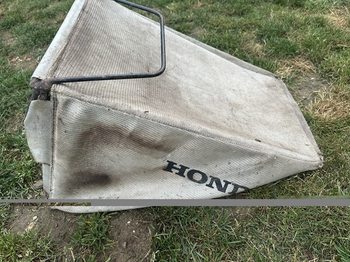 Honda izzy lawn - honda,