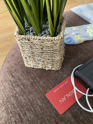 Plastic grass box nice size - in,