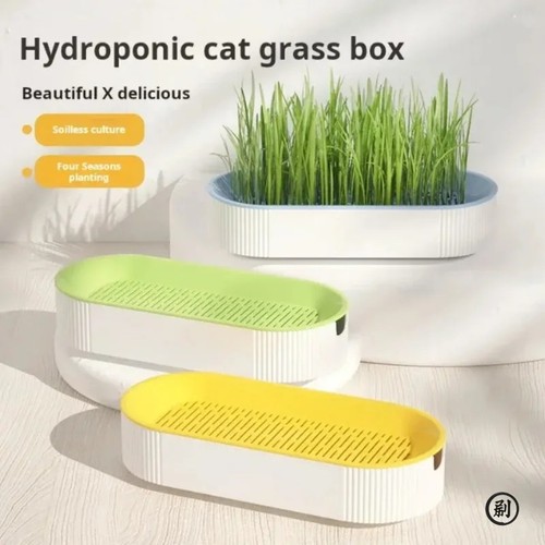 Hydroponic cat grass box - hydroponic,