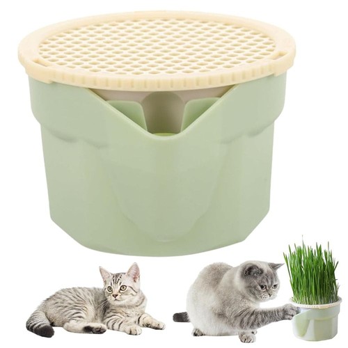 1pc cat grass - cat, box