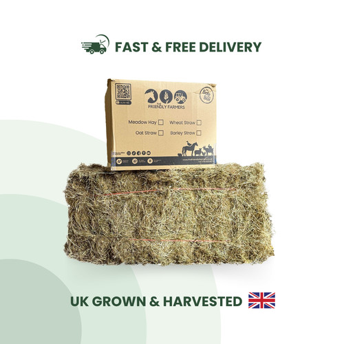 Timothy hay grass box high - grass,