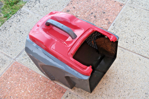 Mountfield princess grass - princess,