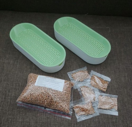 Two cat grass planters - grass,